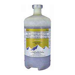 Bovi-Sera Cattle & Sheep Vaccine 500 ml - Item # 50589