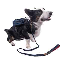 Wrangler Pocket Backpack Harness for Dogs M (20-50 lbs) - Item # 50591