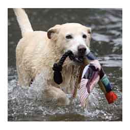 Fly and Fetch Dog Toy Duck - Item # 50650