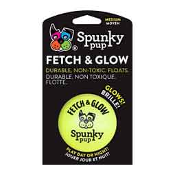 Fetch and Glow Ball Dog Toy M (2.5 in) - Item # 50652