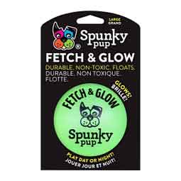 Fetch and Glow Ball Dog Toy L (3.5 in) - Item # 50653