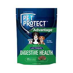 Pet Protect Lactoquil Digestive Health Soft Chews for Dogs 60 ct - Item # 50695