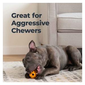 Dental Chew Toy for Dogs L (4.17 in L x 2.8 in W x 2.8 in W) - Item # 50715