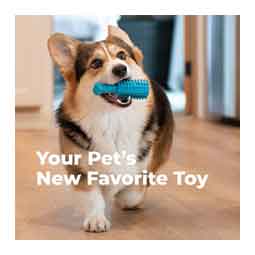 Dental Chew Toy for Dogs S (5 in L x 1.75 in W x 1.4 in H) - Item # 50716