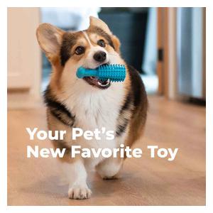 Dental Chew Toy for Dogs S (5 in L x 1.75 in W x 1.4 in H) - Item # 50716