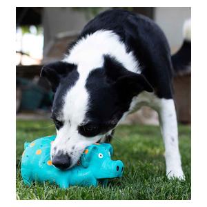 Globlets Dog Toy 8.25 in - Item # 50729