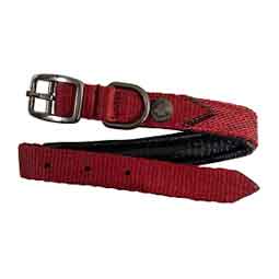 Nylon 3/4-in Dog Collar with Textilene and Padding Merlot - Item # 50741