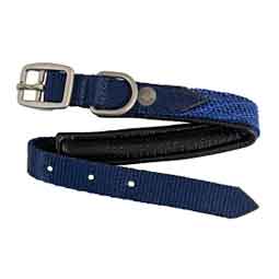 Nylon 3/4-in Dog Collar with Textilene and Padding Kentucky Blue - Item # 50741