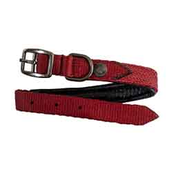 Nylon 1-in Dog Collar with Textilene and Padding Merlot - Item # 50742