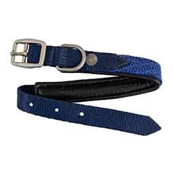 Nylon 1-in Dog Collar with Textilene and Padding Kentucky Blue - Item # 50742