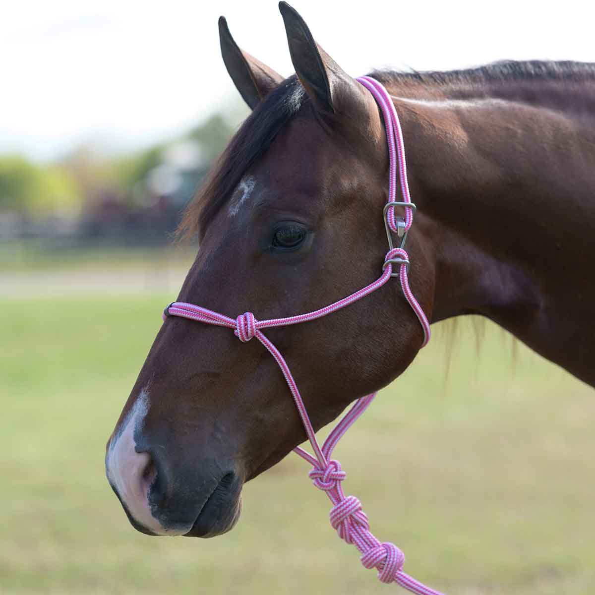 Valley Vet - Easy-On Rope Horse Halter with Lead Professional's Choice ...