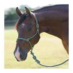 Easy-On Rope Horse Halter with Lead Emerald - Item # 50807