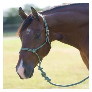 Easy-On Rope Horse Halter with Lead Emerald - Item # 50807