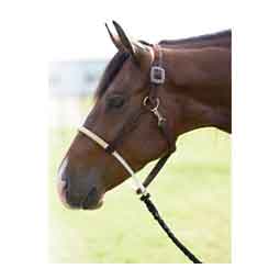 Roughout Rawhide Horse Halter Chocolate - Item # 50818