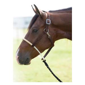 Roughout Rawhide Horse Halter Chocolate - Item # 50818