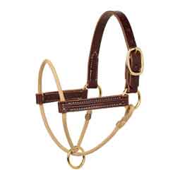 Kalley Krickeberg Horsemans Foal Halter Russet/Tan - Item # 51004