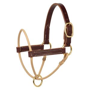 Kalley Krickeberg Horsemans Foal Halter Russet/Tan - Item # 51004