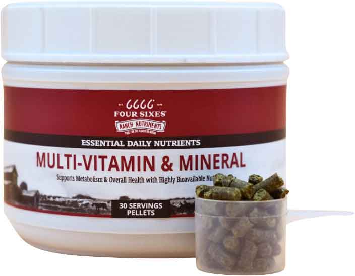 Valley Vet Equine MultiVitamin and Mineral Pellets 6666 Vitamin