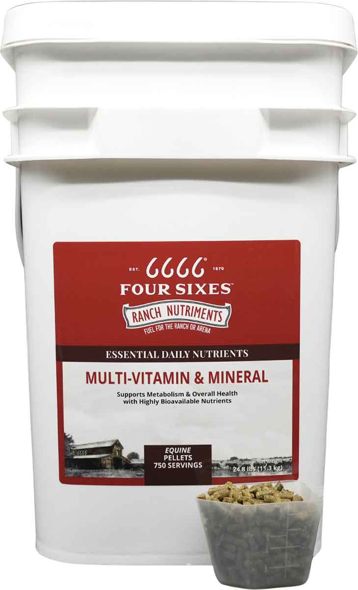 Valley Vet Equine MultiVitamin and Mineral Pellets 6666 Vitamin