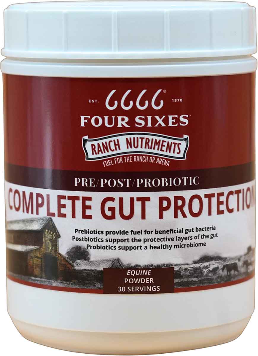 Valley Vet Equine Complete Gut Protection Powder 6666 Ulcer Control