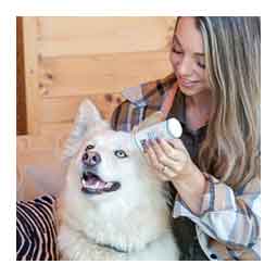 HydroClear Hyaluronic Acid Eye Wash for Dogs and Cats 4 oz - Item # 51128