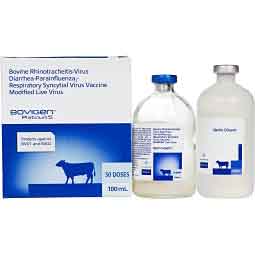 Bovigen Platinum 5 for Cattle 100 ml - Item # 51163