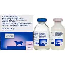 Bovigen Platinum 5L5 for Cattle 20 ml - Item # 51164