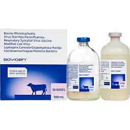 Bovigen Platinum 5L5 for Cattle 100 ml - Item # 51165