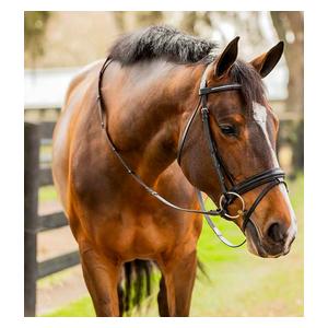 Equinavia Saga Dressage Crank Noseband Bridle with Reins Black - Item # 51249