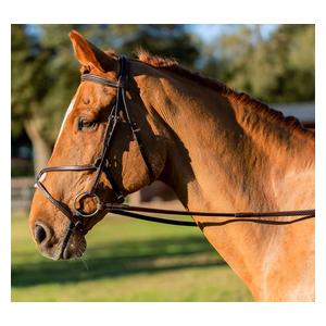 Equinavia Saga Fancy Stitched Figure 8 Bridle with Reins Chocolate Brown - Item # 51252