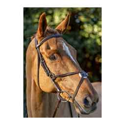 Equinavia Saga Fancy Stitched Figure 8 Bridle with Reins Chocolate Brown - Item # 51252