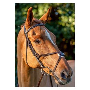 Equinavia Saga Fancy Stitched Figure 8 Bridle with Reins Chocolate Brown - Item # 51252