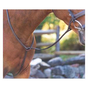 Saga Standing Martingale Chocolate Brown - Item # 51255