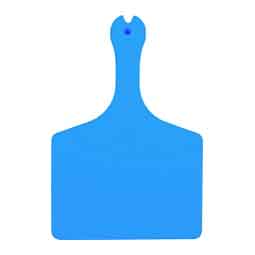 Allflex Feedlot Blank A-Tags Light Blue - Item # 51294