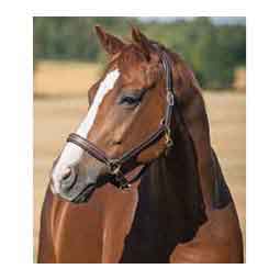 Horze Largo Leather Halter Dark Brown - Item # 51299
