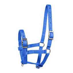 Horze Foal Halter Blue - Item # 51300