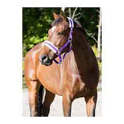 Horze Howard Halter Purple - Item # 51308