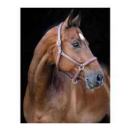 Horze Warren Soft Leather Halter Light Brown - Item # 51310