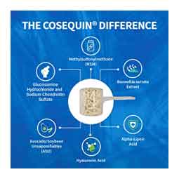 Cosequin ASU Plus for Horses 1050 gm - Item # 51315