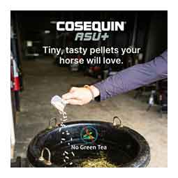 Cosequin ASU Plus for Horses 1050 gm - Item # 51315