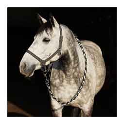 Adepto Horse Halter Dark Navy - Item # 51321