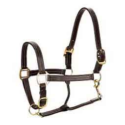 Equinavia Valkyrie Triple Stitched Leather Horse Halter Chocolate Brown - Item # 51325