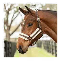 Equinavia Valkyrie Ultra Fleece Breakaway Horse Halter Ivory/Brown - Item # 51328