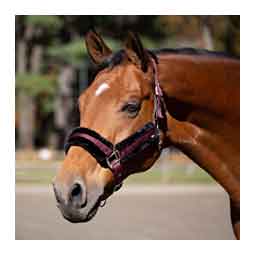 Equinavia Valkyrie Ultra Fleece Breakaway Horse Halter Wine Red/Black - Item # 51328