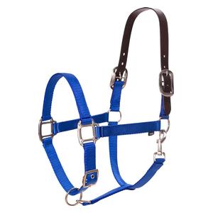 Equinavia Loki Breakaway Horse Halter Royal Blue - Item # 51329