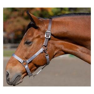 Equinavia Loki Breakaway Horse Halter Silver Sconce Gray - Item # 51329