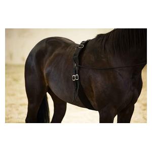 Horze Nylon Lunging Surcingle Black - Item # 51348