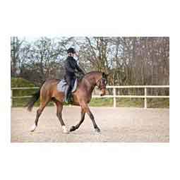 No-Turn Heavy Duty Horse Bell Boots Black - Item # 51359