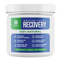 Equine Total Recovery 174 gm (30 day supply) - Item # 51371
