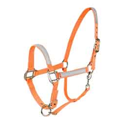 Reflective Shetland Halter Orange - Item # 51389